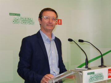 fotonoticia_20150817151553_800