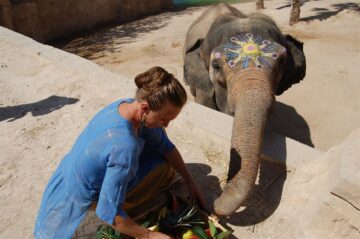 fotonoticia_20150818120106_800