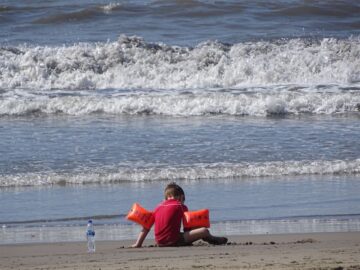 fotonoticia_20150819142625_800