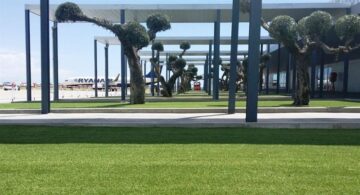 fotonoticia_20150826135542_800