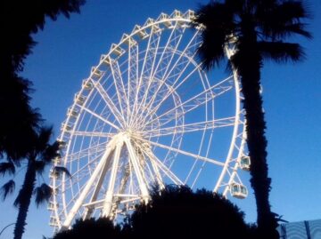 fotonoticia_20150826154647_800