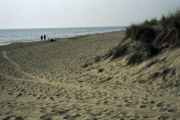 fotonoticia_20150828114927_800