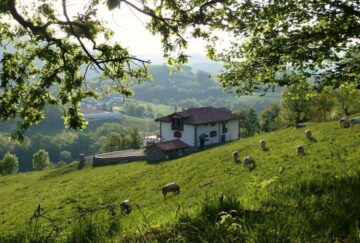 fotonoticia_20150901114413_800