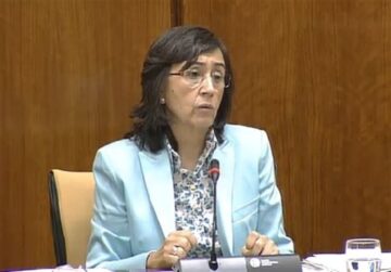 fotonoticia_20150902162658_800