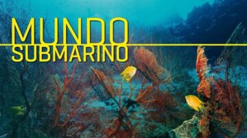 fotonoticia_20150904165907_800