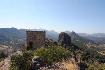 fotonoticia_20150904183721_800