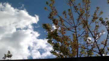 fotonoticia_20150911094814_800