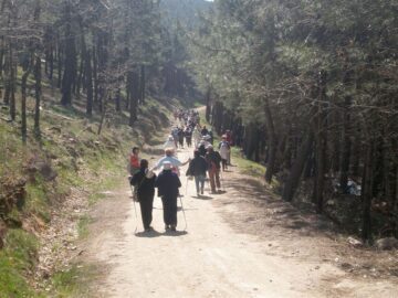 fotonoticia_20150911172743_800