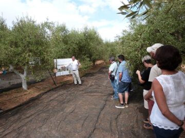 fotonoticia_20150914152835_800