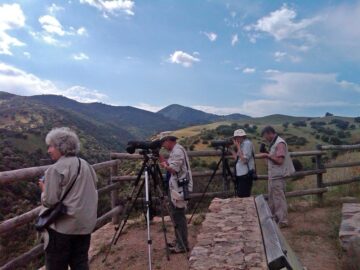 fotonoticia_20150916152601_800 – El Digital de Asturias fotonoticia_20150916152601_800