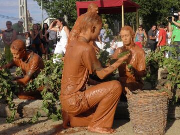 fotonoticia_20150917135039_800