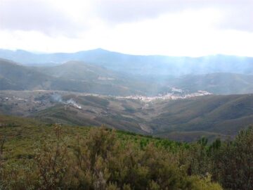 fotonoticia_20150921092451_800