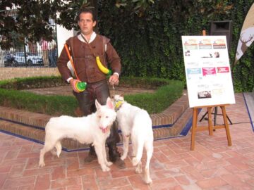 fotonoticia_20150924102634_800