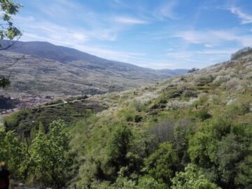 fotonoticia_20150929133355_800