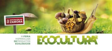 fotonoticia_20151007163208_800