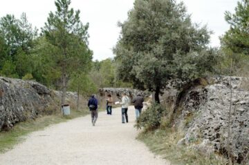 fotonoticia_20151015094643_800