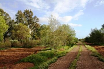 fotonoticia_20151016155248_800