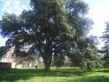 fotonoticia_20151019113009_800