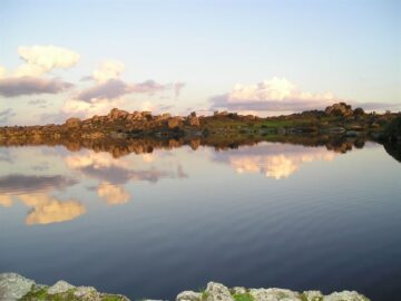 fotonoticia_20151019165454_800