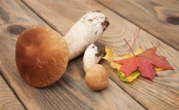 fotonoticia_20151020134434_800