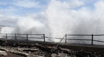 fotonoticia_20151022115055_800-655x360