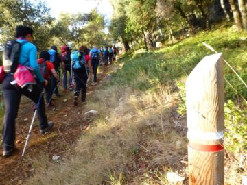 fotonoticia_20151022174233_800