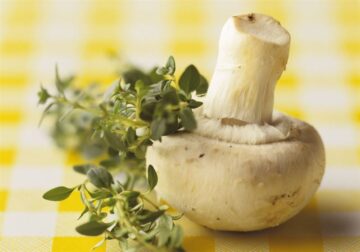 fotonoticia_20151029122700_800