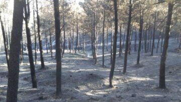 fotonoticia_20151103114613_800