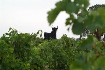 fotonoticia_20151104112400_800