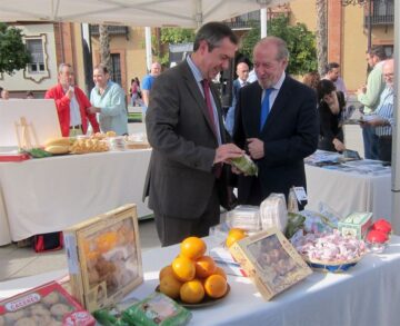 fotonoticia_20151105153224_800