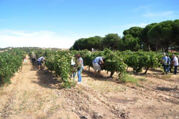 fotonoticia_20151106185244_800