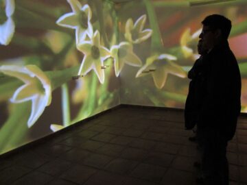 fotonoticia_20151113164853_800