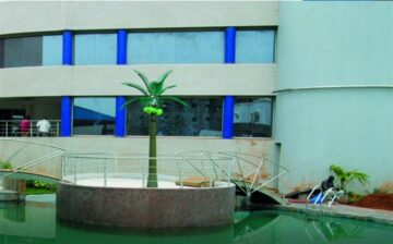 fotonoticia_20151120121028_800