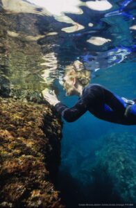 fotonoticia_20151123190110_800