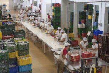 fotonoticia_20151127155525_800