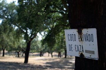 fotonoticia_20151127165510_800