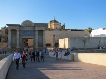 fotonoticia_20151127183554_800