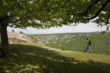 fotonoticia_20151127193823_800