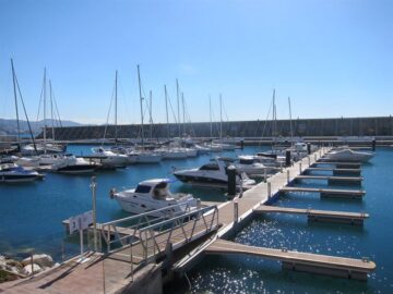 fotonoticia_20151204130624_800