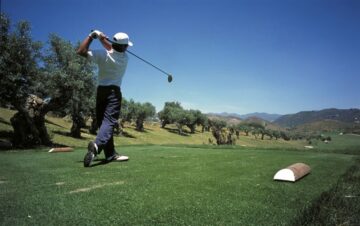 fotonoticia_20151204172439_800