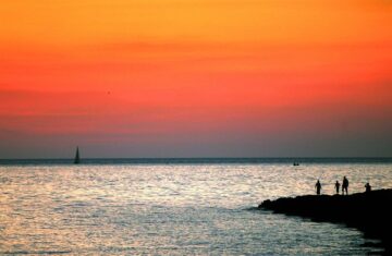 fotonoticia_20151204183857_800