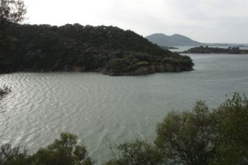 fotonoticia_20151204195059_800