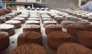 fotonoticia_20151211152415_800