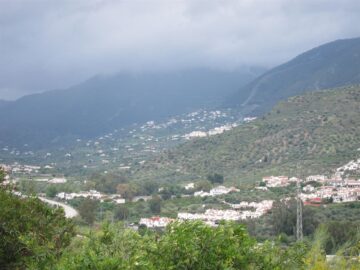 fotonoticia_20151211172647_800