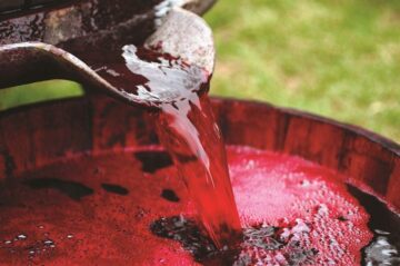 fotonoticia_20151211185427_800