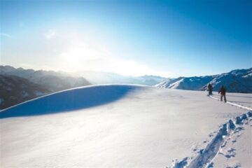 fotonoticia_20151218141131_800