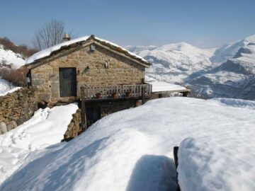 fotonoticia_20151228111858_800