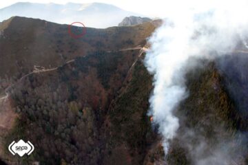 fotonoticia_20151229130318_800