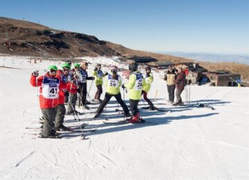 fotonoticia_20151230174233_800