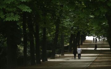 fotonoticia_20160104171137_800